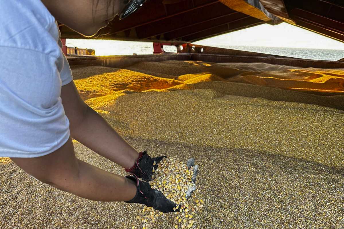 Five European Countries Will Extend Ban On Ukraine S Grain But Let It