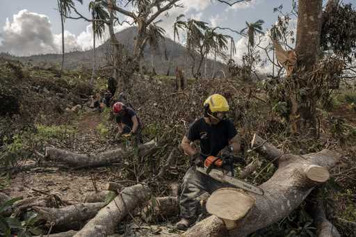 French civil security officers cut trees to open a road for heavy vehicles from Mayotte water autho…