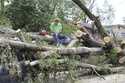 Andy Brown takes a break on top of what remains of a tree that destroyed his SUV when it fell durin…