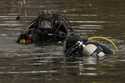 NYPD officers in diving suits search a lake in Central Park, Monday, December 9, 2024, in New York