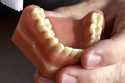 A dentist holds a model of teeth in Seattle. (AP Photo/Elaine Thompson, File)