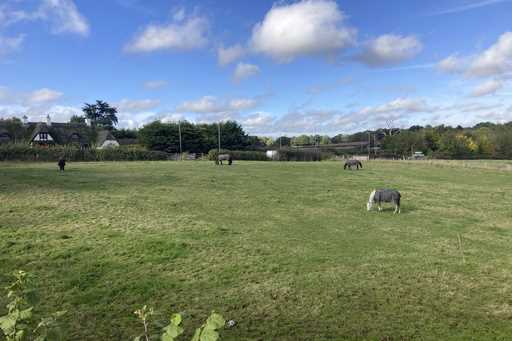 Horses graze in a field on the outskirts of Abbots Langley, England, on Friday, October 18, 2024