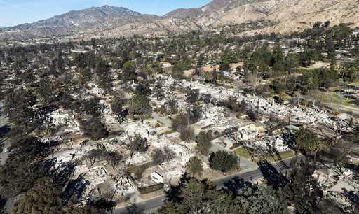 Residences destroyed by the Eaton Fire line a neighborhood in Altadena, Calif