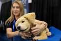 Tombot, a robotic dog for people who can not have a real pet, gets a scratch during 2025 CES Unveil…