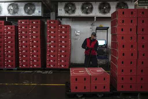 A worker organizes boxes of flowers intended for export to the U