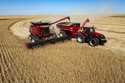 In this image taken with a drone, Jason Kwapi operates a combine, at left, during soybean harvestin…