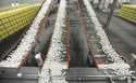 In this July 28, 2012 file photo, chicken eggs are transported by conveyor belt from the production…