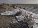 This March 13, 2019, image provided by the New Mexico Environment Department shows foam along the s…