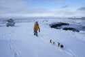 A woman walks with her dogs on a beach in Nuuk, Greenland, Tuesday, March 4, 2025