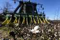 A cotton picker moves through Chris Hopkins' cotton field, Friday, December 6, 2024, near Lyons, Ga…