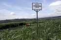 A sign saying the land is owned by MNC Land is put up on a farming field at the planned development…