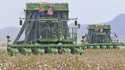 Two John Deere on board module cotton strippers, owned and operated by DVB Harvesting, work their w…