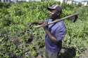 Benson Wanjala talks about the health of his soil at his farm in Machakos, Kenya, Tuesday, May 21, …