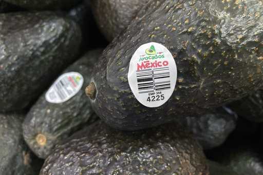 Avocados from Mexico are for sale at a grocery store in Lyndhurst, New Jersey, February 17, 2022