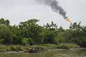 A man paddles his canoe in the Niger Delta near the village of Ogboinbiri, Nigeria, December 11, 20…