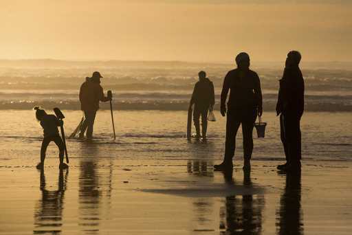 Visitors look for clams to dig along the beach at Fort Stevens State Park, February 9, 2016, in War…