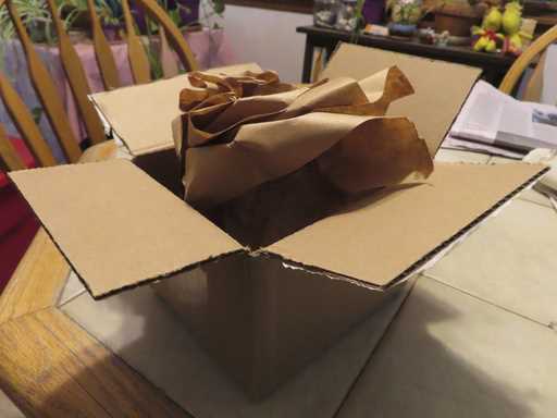 Paper packaging materials sit inside a just-opened box in Point Pleasant, N