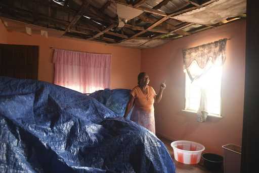 Alance Wisdom, who farms cabbage, sweet peppers and cucumbers, points to damage from Hurricane Bery…