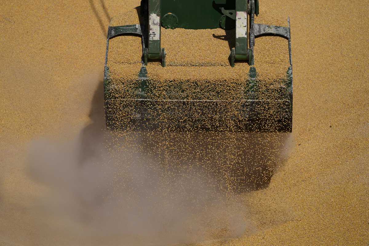 Ship With Ukrainian Corn Vegetable Oil Docks In Lebanon