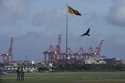 A bird flies past gantry cranes working at the Colombo port, Sri Lanka, Monday, Sept