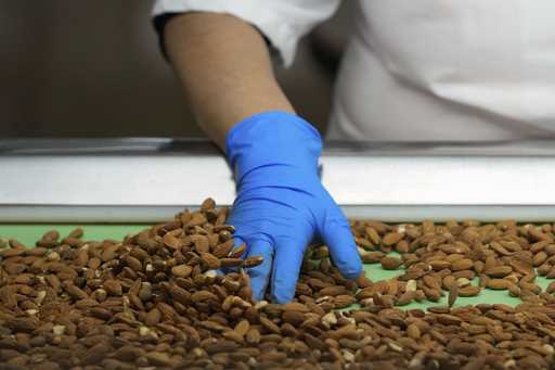 Angelita Delgado sorts through almonds by hand at Stewart and Jasper Orchards, Friday, March 7, 202…