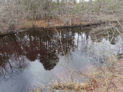 Trees are reflected in the slow-moving Toms River on February 21, 2023, where the former Ciba-Geigy…