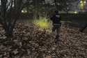 Members of the New York police crime scene unit investigate bullets lying on the sidewalk at the sc…