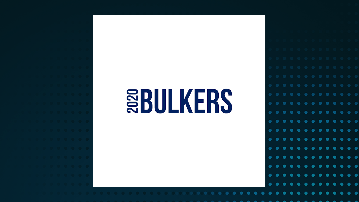 2020 Bulkers logo