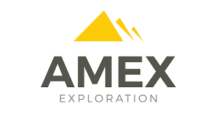 AMXEF stock logo