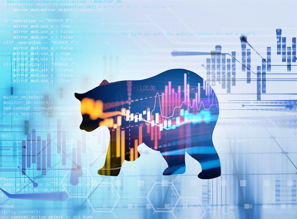 Top 5 Bear Market Stocks to Watch in 2024