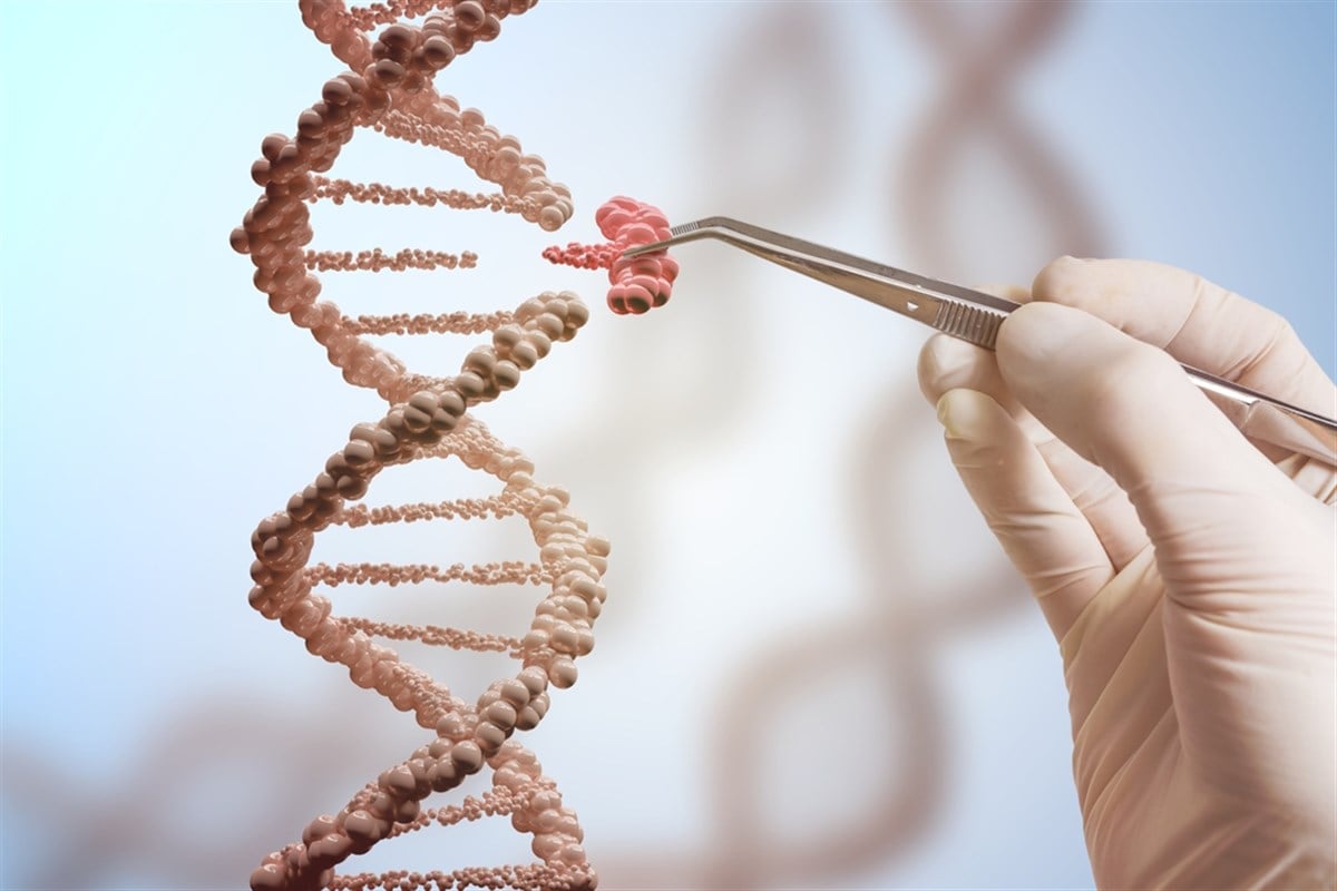 2 gene editing stocks to keep on your 2024 watchlist