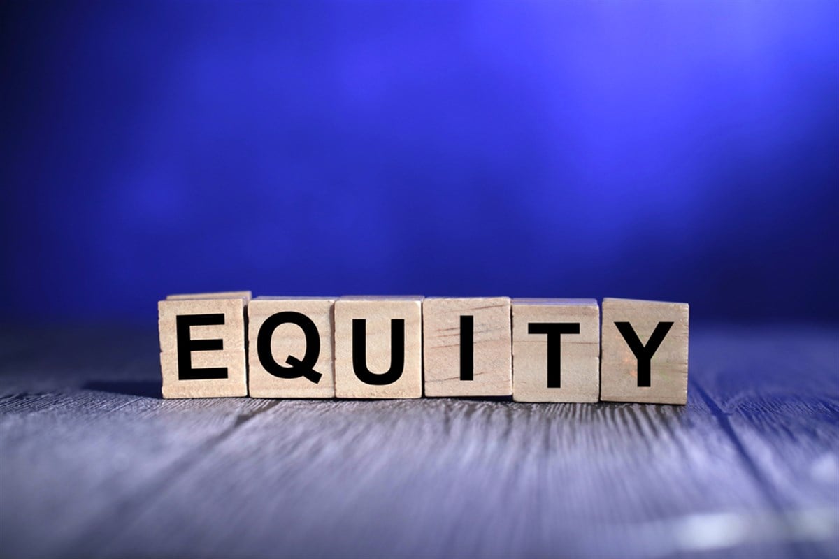 5 stocks growing shareholder equity in 2024 Penticton Herald Finance