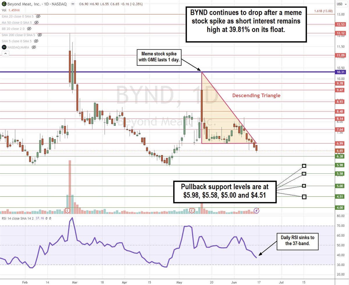 Beyond Meat BYND stock chart