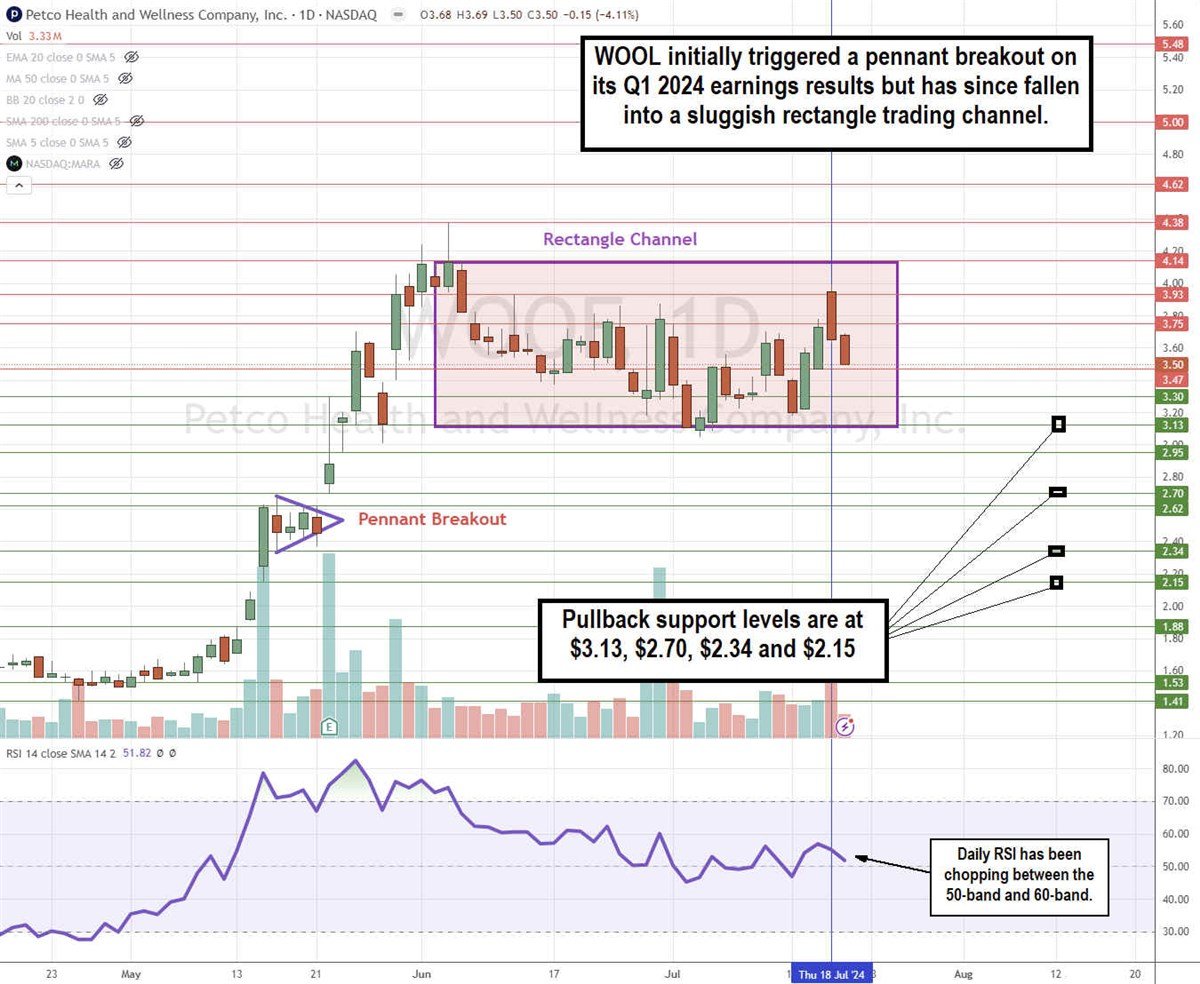 Petco Stock Chart 