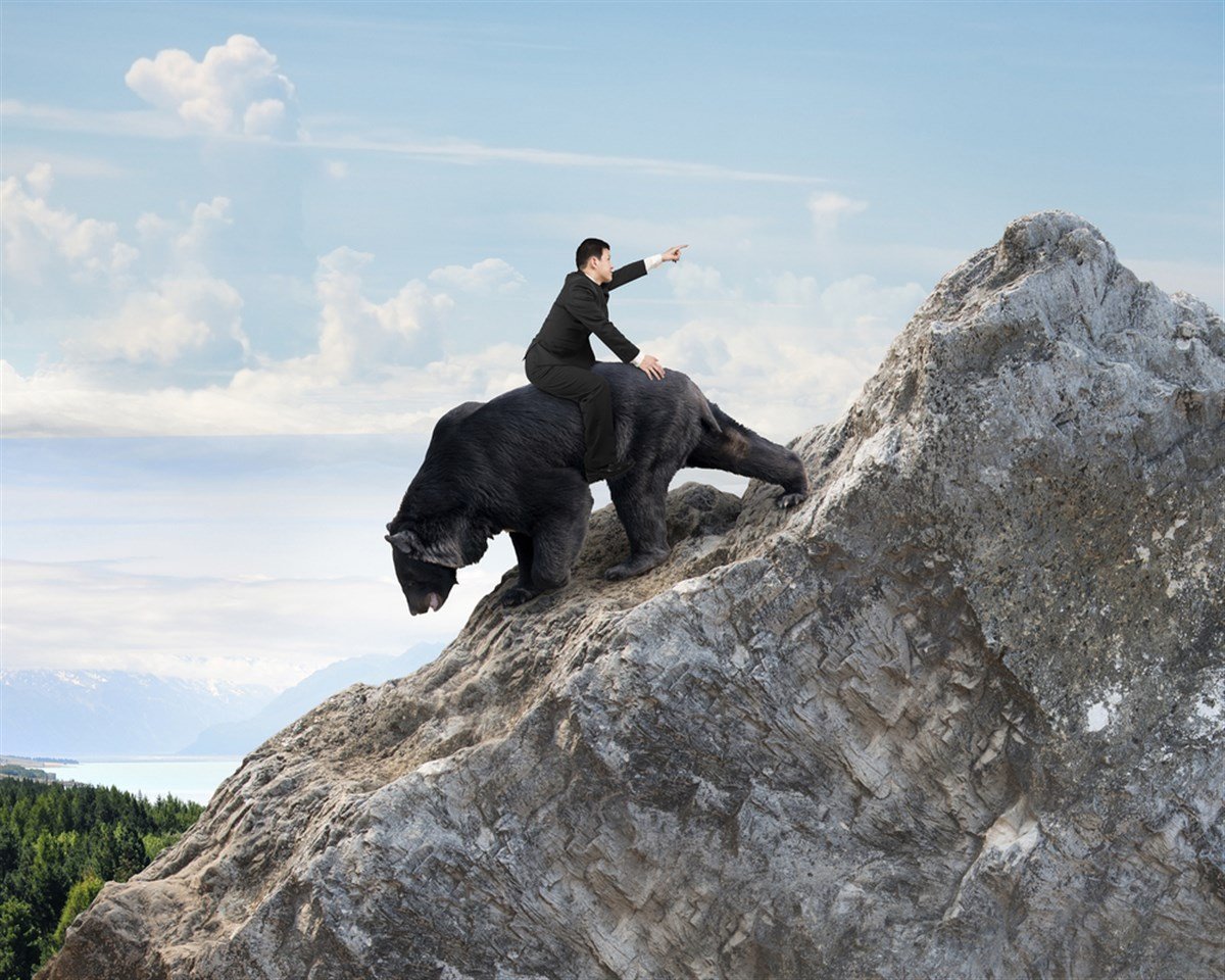 Photo of a businessman riding backwards on black bear going down a mountain peak and pointing up