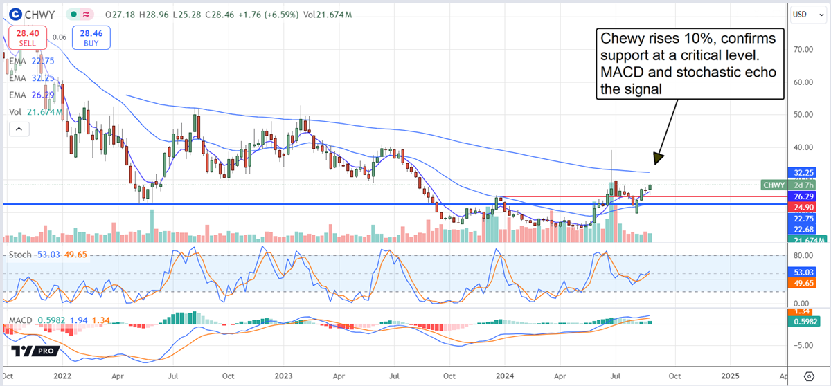 Chewy CHWY stock chart