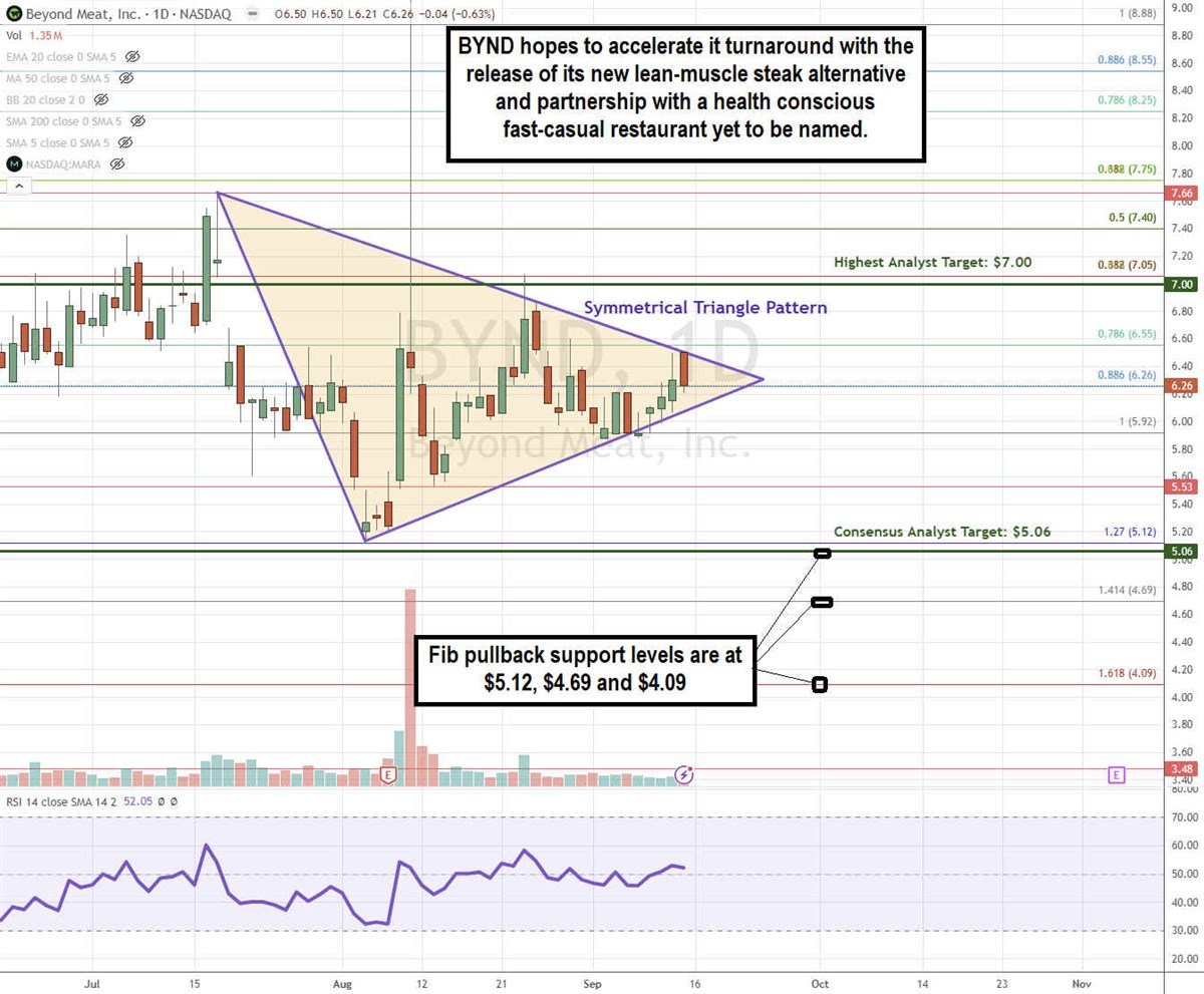 Beyond Meat BYND stock chart