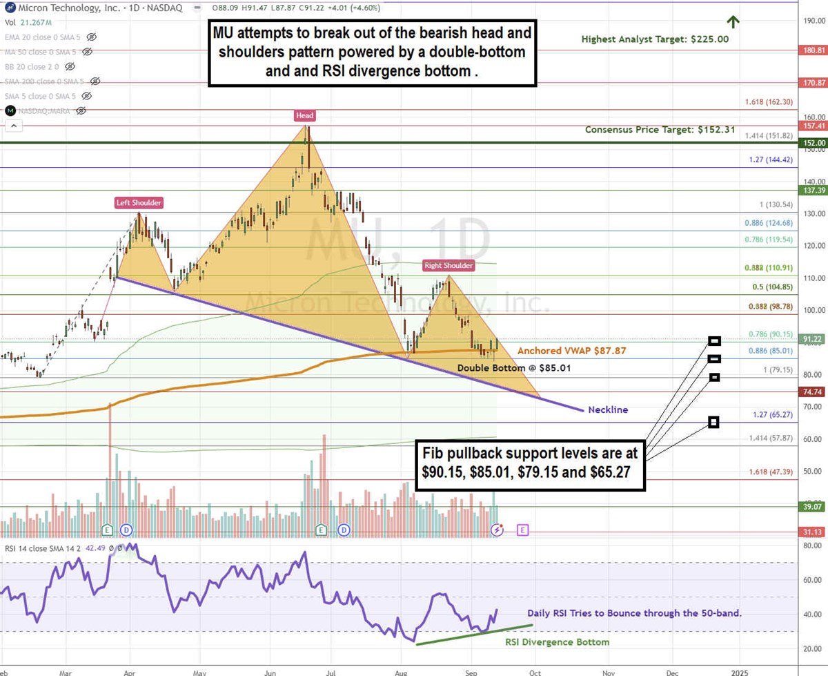 Micron Srtock chart 