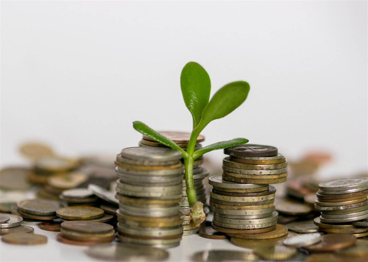 old metal coins of various shapes, countries and values, green money tree seedling in the foreground, money saving concept