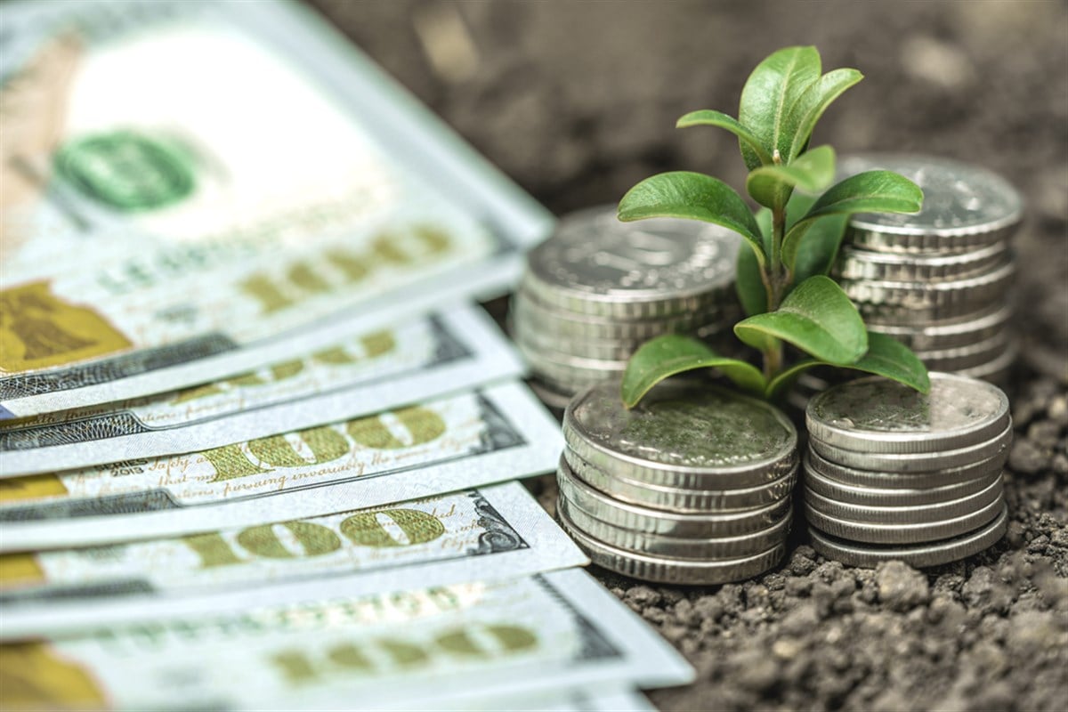 Money growth in soil with green leaves and trees concept, business and farming success finance. Agriculture plant seeding growing step concept in garden