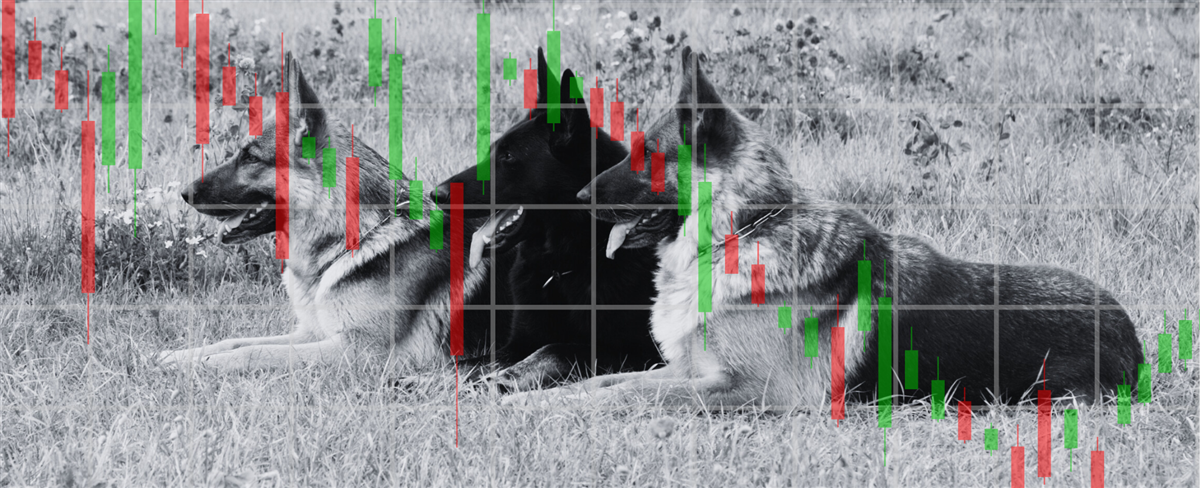 Dogs of the Dow Jones