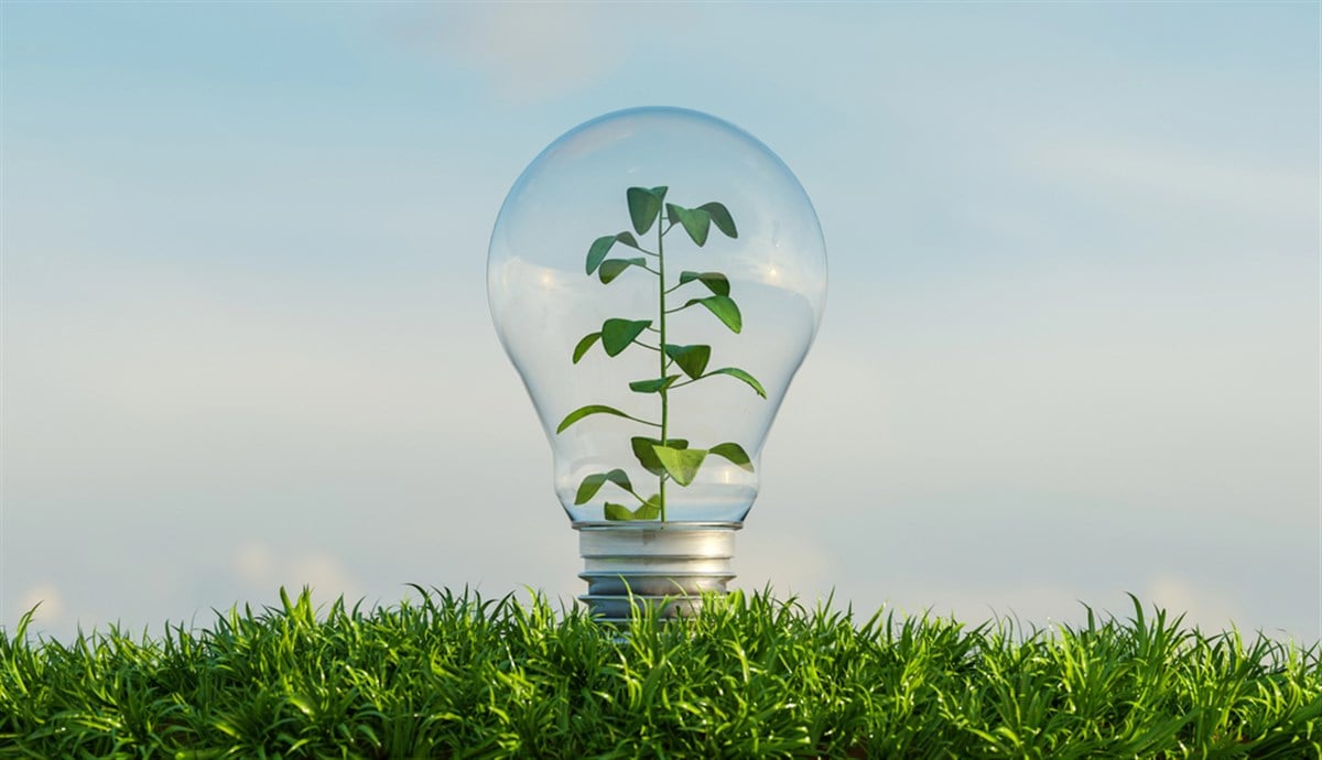 Glass bulb on a ground full of vegetation with a background of clouds and a plant inside it. 3d render - stock image