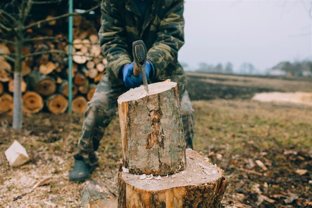 Photo of someone splitting a piece of wood