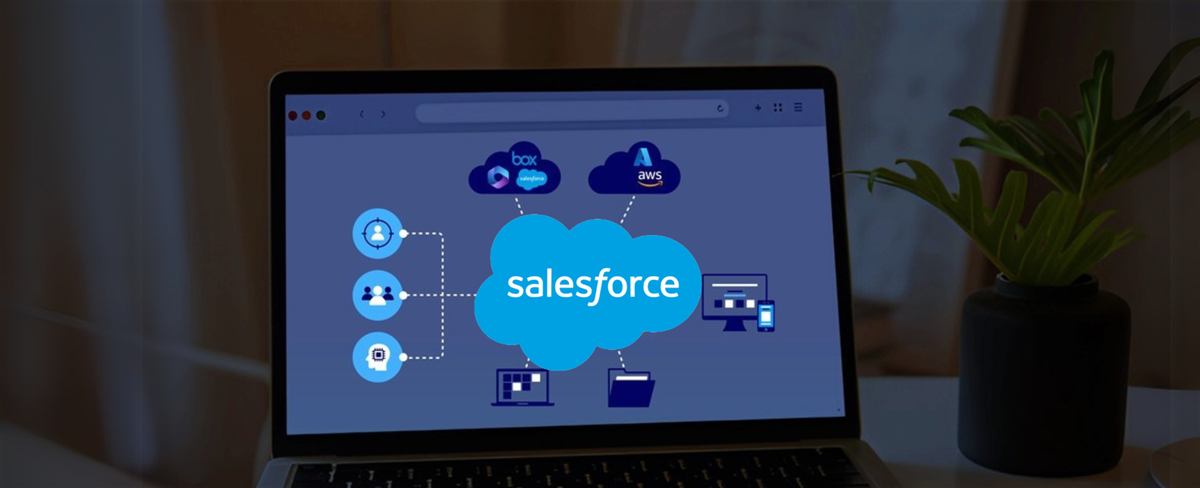 Salesforce CRM SAAS computer screen