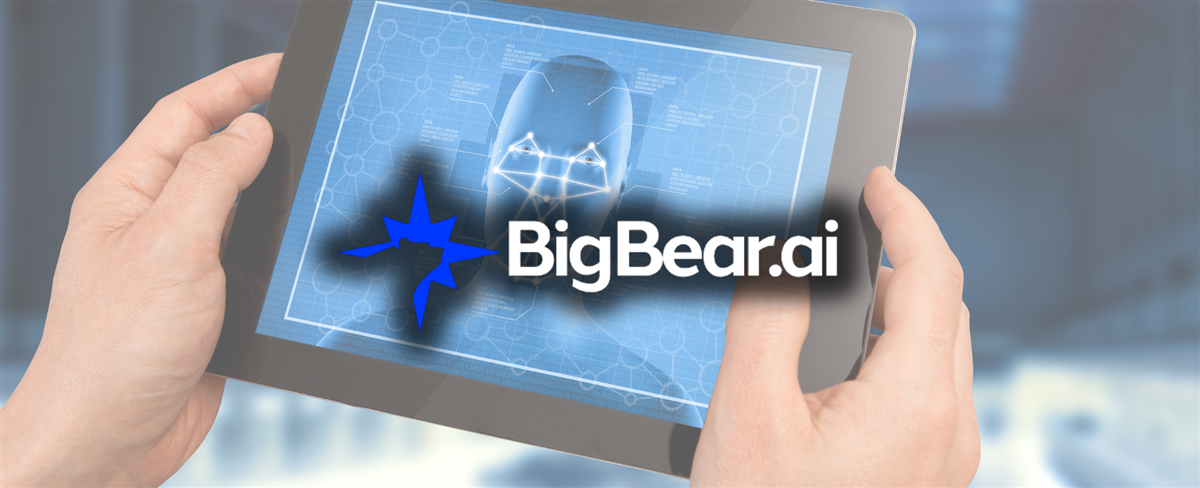 BigBear.ai veriscan