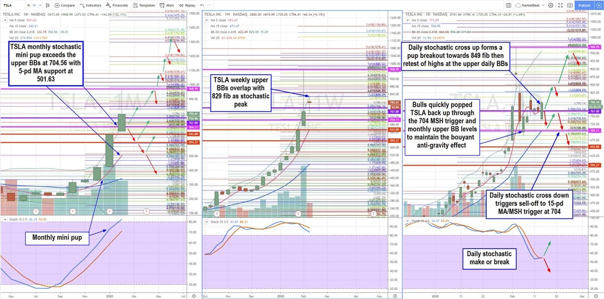 Tesla (TSLA) Stock Price Trajectory Analysis 