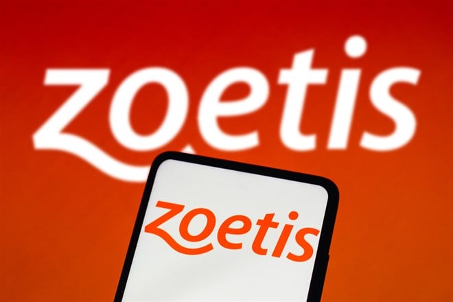 Zoetis stock price