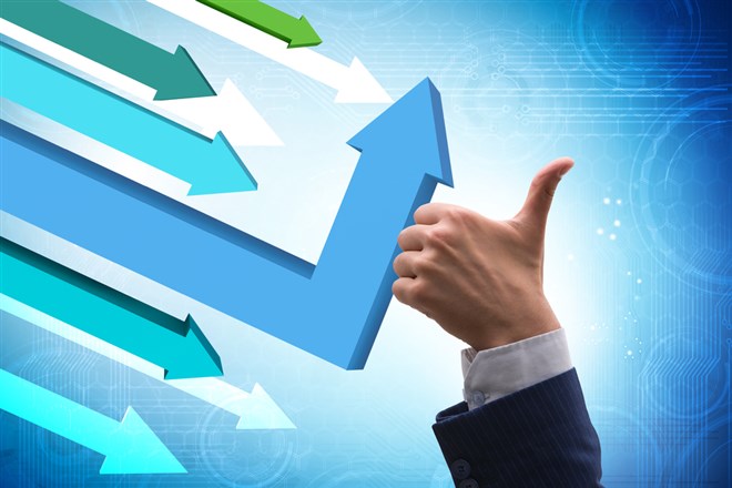 Gamida Cell stock price 