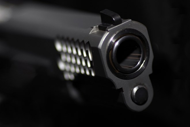 Smith & Wesson stock price 