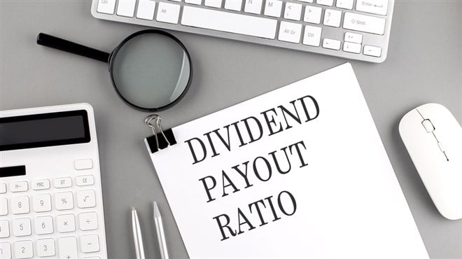 What is a Dividend Payout Ratio, and What Does it Indicate?